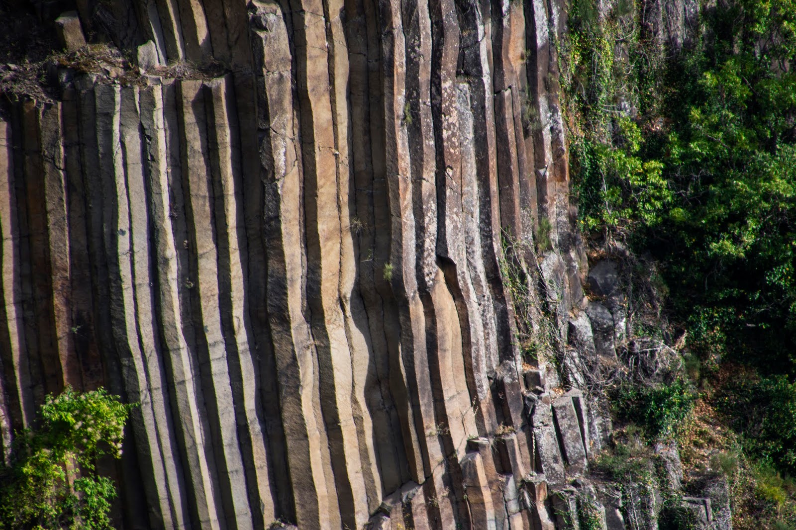 Boyabat bazalt kayalıkları